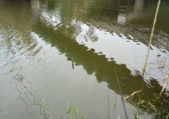 冬天湖泊串钩钓鱼技巧有哪些？如何提高冬季钓鱼成功率？