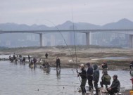 独门钓鱼技巧教程？如何快速掌握钓鱼秘诀？