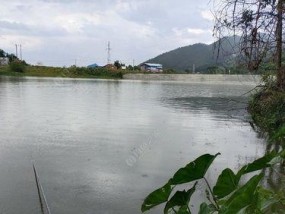 春季雨天钓鱼技巧及方法（钓鱼爱好者必知的湿地垂钓技巧与经验）