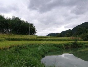 秋雨前后钓鱼技巧（掌握水情）