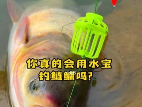 钓鱼技巧新手口诀（掌握基本技巧，成为钓鱼高手）