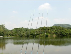 海钓之浮钓抛投技巧（掌握海钓浮钓的有效投放技巧）