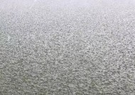 野钓河道钓鱼技巧与方法（探秘河道中的钓鱼技巧）