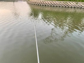 喂近钓远，轻松钓鱼技巧（掌握喂近钓远技巧）