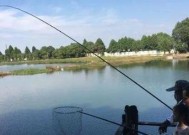 合肥方兴湖钓鱼技巧有哪些？如何提高钓鱼成功率？