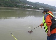 北方寒露后钓鱼技巧是什么？如何应对季节变化提高钓鱼成功率？