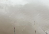 冬天野钓跑铅技巧是什么？如何有效运用提高钓鱼成功率？