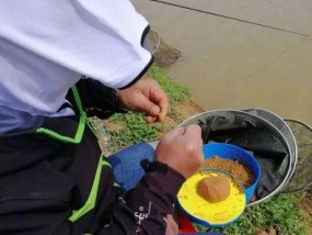 春天钓鱼走水技巧是什么？如何应对走水提高钓鱼成功率？