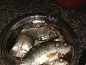 傍晚湖里钓鱼技巧是什么？如何提高钓获率？