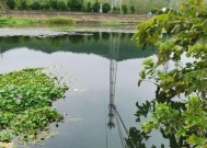 冬天水葫芦下钓鱼技巧有哪些？如何提高冬季钓鱼成功率？