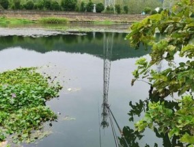 冬天水葫芦下钓鱼技巧有哪些？如何提高冬季钓鱼成功率？