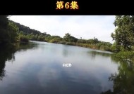 如何通过观察浮漂来判断鱼儿的吃口？钓鱼时有哪些看漂技巧？