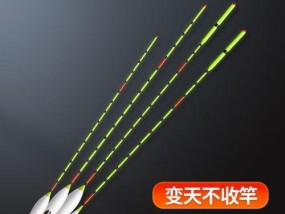 掌握钓鱼看漂技巧，成为钓鱼高手（钓鱼看漂技巧，轻松提高钓鱼成功率）