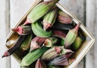 冬天青豆钓鱼方法和技巧是什么？如何提高冬季钓鱼成功率？