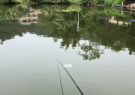 海里沉底钓鱼技巧有哪些？如何提高钓获率？