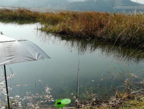 丹江水库挂底钓鱼技巧是什么？如何应对挂底问题？