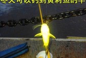 冬天江边海竿钓鱼技巧有哪些？如何应对低温天气？