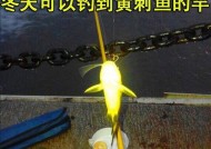 冬天江边海竿钓鱼技巧有哪些？如何应对低温天气？