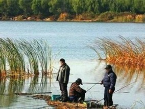 秋初钓鱼技巧（掌握关键）