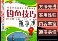 传统钓鱼野钓实战技巧有哪些？如何提高钓鱼成功率？
