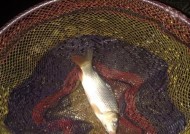 冬天夜钓小鲫鱼的技巧是什么？如何提高夜钓小鲫鱼的成功率？