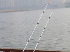 海竿户外钓鱼的技巧与方法（享受自然乐趣的钓鱼新手指南）