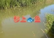 冬天钓鱼打冰窟技巧是什么？如何安全有效地进行？