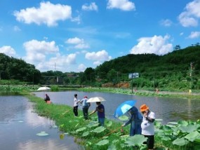 野外钓虾技巧大全（掌握这些技巧）