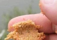 钓鱼老手挖蚯蚓技巧有哪些？如何快速找到最佳蚯蚓挖掘点？