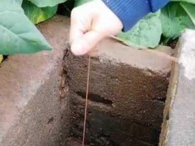 秋天用猪肝钓鱼的技巧（提高钓鱼成功率的秘诀）