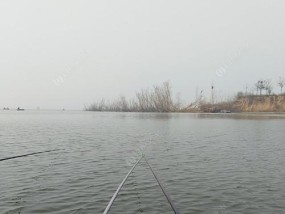 小浪底野钓技巧大揭秘（挑战大自然）