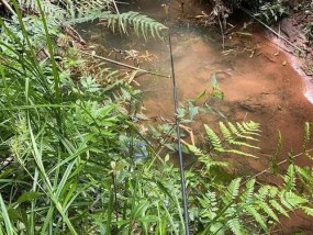 野外水沟钓鱼技巧（轻松掌握）