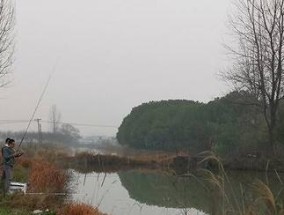 清江河里钓鱼技巧（掌握这些技巧）