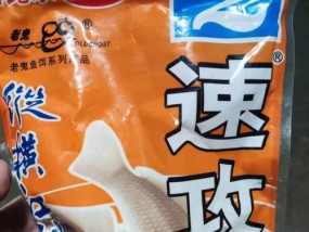 单开饵钓鱼技巧是什么？如何提高单开饵钓鱼的成功率？