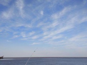 海钓钓鱼技巧教程（掌握海钓技巧）