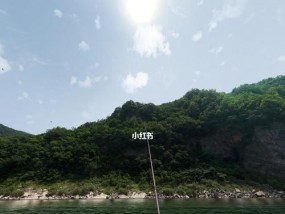 海上职业钓鱼技巧有哪些？如何提高钓鱼成功率？