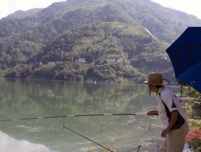 无鱼咬钩钓鱼技巧（精选15个实用技巧助你成为钓鱼高手）