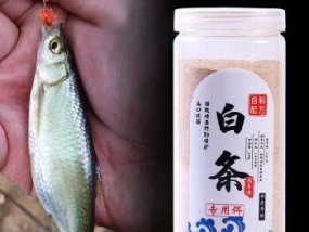 白条钓鱼技巧大揭秘（以矶钓竿为工具，享受白条钓鱼的乐趣）