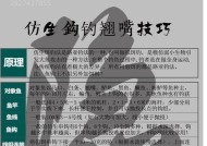 董家口船钓鲈鱼技巧有哪些？如何提高钓鲈鱼的成功率？