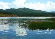 淡水湖水库钓鱼技巧和方法？如何提高钓鱼成功率？