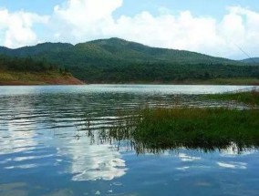 淡水湖水库钓鱼技巧和方法？如何提高钓鱼成功率？