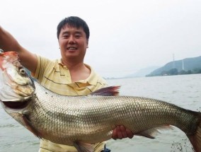 钓鱼挂饵技巧大揭秘（掌握这些技巧，让你的钓鱼更加得心应手）