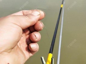 无铅坠钓鱼线组技巧（掌握无铅坠钓鱼线组装技巧）