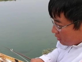 钓鱼初学者如何读懂浮漂技巧？有哪些基本技巧需要掌握？