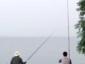 如何选择最佳钓位？初学者选钓位有哪些技巧？