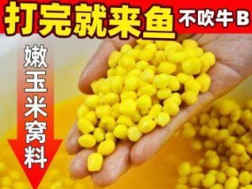 夏季嫩玉米钓鱼技巧大揭秘（钓鱼宝典）