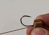 钓鱼技巧（从线的选择到绑法技巧）