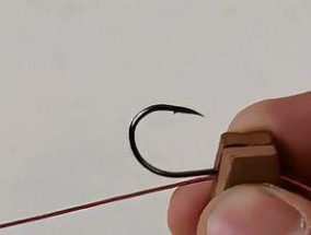 钓鱼技巧（从线的选择到绑法技巧）