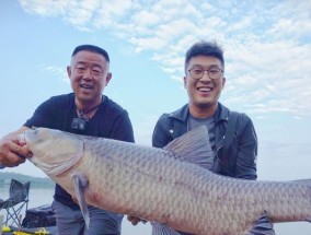 百分百上钩的钓鱼技巧是什么意思？如何提高钓鱼成功率？