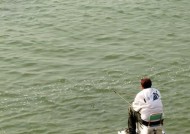 80岁老人冬天钓鱼的技巧（老年人钓鱼经验分享冬季养生妙招）